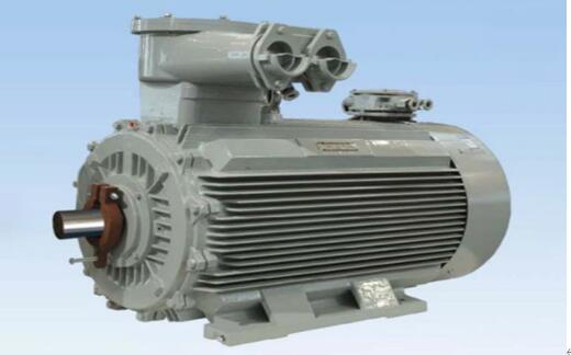 小型防爆電機(jī)