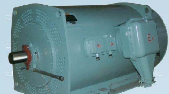 防爆電機(jī)